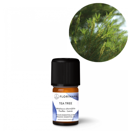 Tea tree æterisk olie i flaske. Økologisk. Køb hos Aromaliv.dk