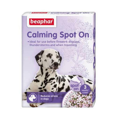 Galaxy forligsmanden Hvert år Beaphar Calming Spot On | Beroliger din nervøse hund | MyTrendyDog