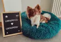fluffy hundeseng