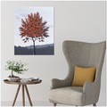 orange maleri 50x60