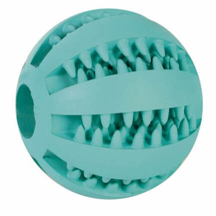 Trixie Denta Fun Mintfresh Ball Ø5 cm