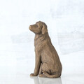 Willow tree hund