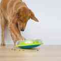 Hund leger med en Wobble Bowl i Grøn - Aktivitetslegetøj fra Nina Ottosson