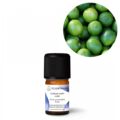 Lime æterisk olie i flaske økologisk. Køb hos Aromaliv.dk