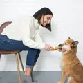 Petosan Silent Power Elektrisk Tandbørste renser tænder på en hund